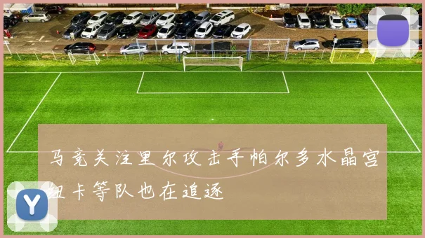 马竞关注里尔攻击手帕尔多水晶宫纽卡等队也在追逐