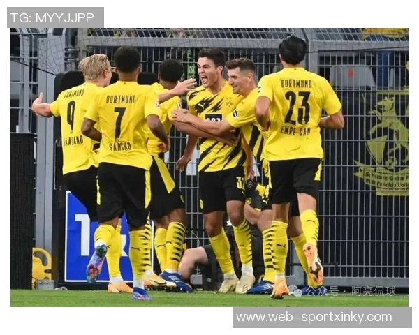 新援莱尔马亲临多特主场观战不莱梅并参与训练测试体能 新援莱尔马亲临多特主场观战不莱梅并参与训练测试体能